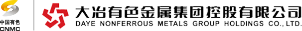 dyyslogo